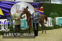 24BUCK_01119 proof