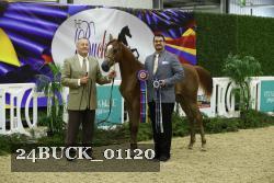 24BUCK_01120 proof