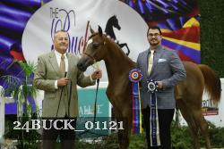 24BUCK_01121 proof
