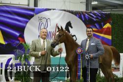 24BUCK_01122 proof