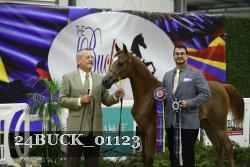 24BUCK_01123 proof