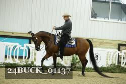 24BUCK_01137 proof