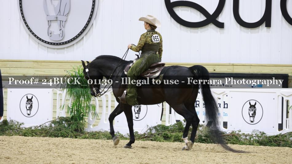 Proof 24BUCK_01139