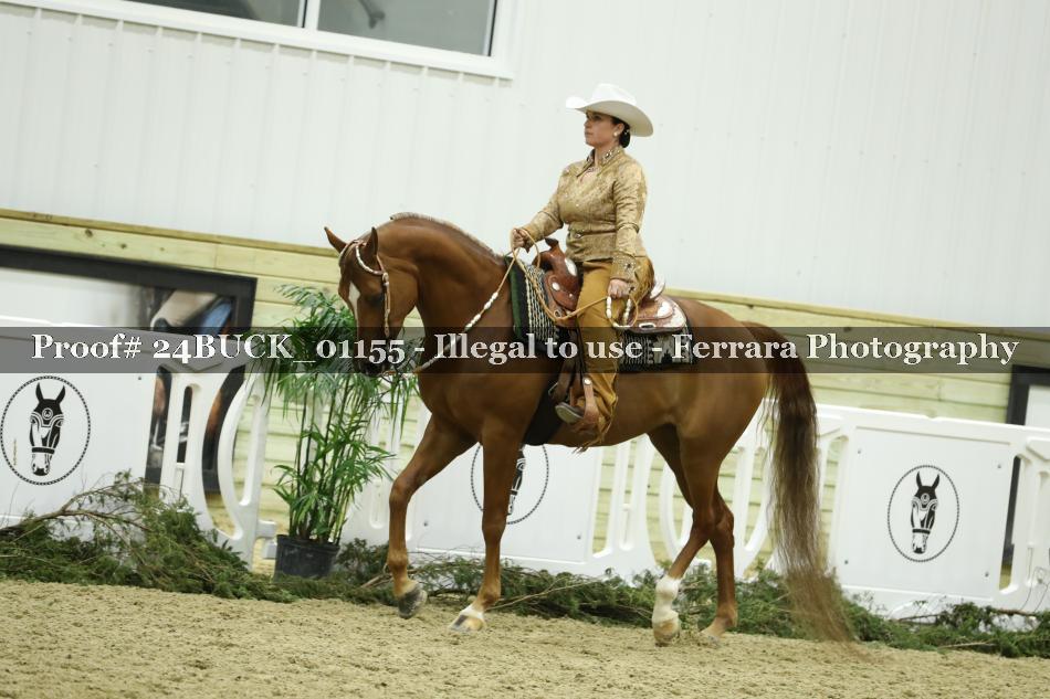 Proof 24BUCK_01155