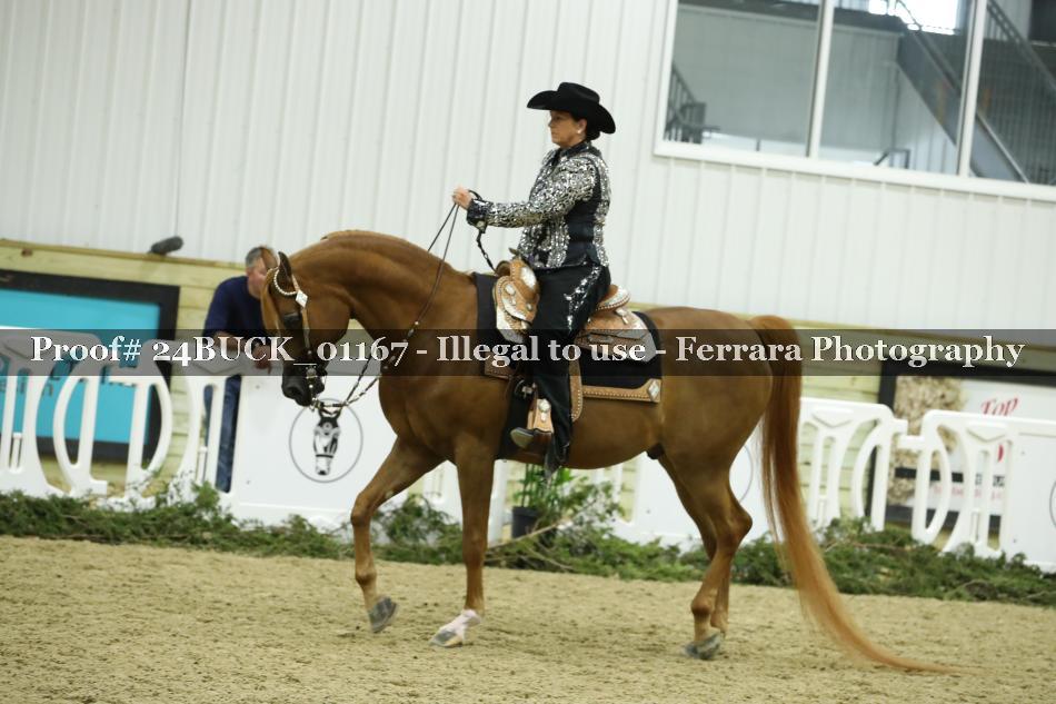Proof 24BUCK_01167