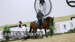 24BUCK_01175 proof