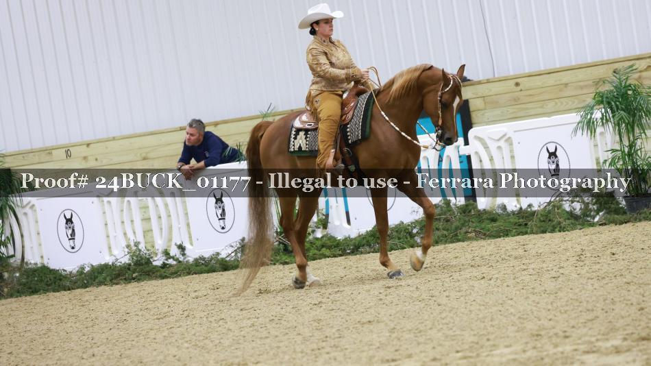 Proof 24BUCK_01177