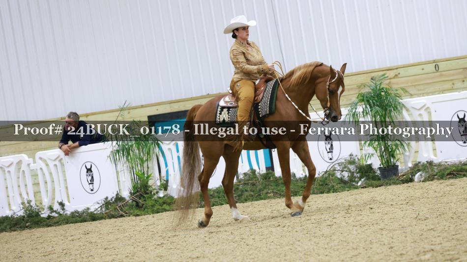Proof 24BUCK_01178