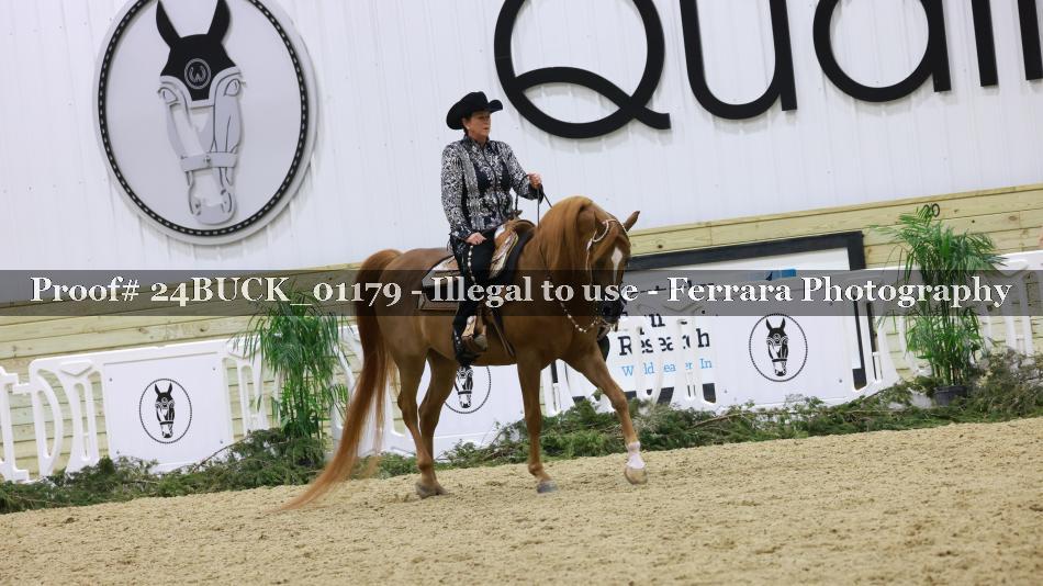 Proof 24BUCK_01179