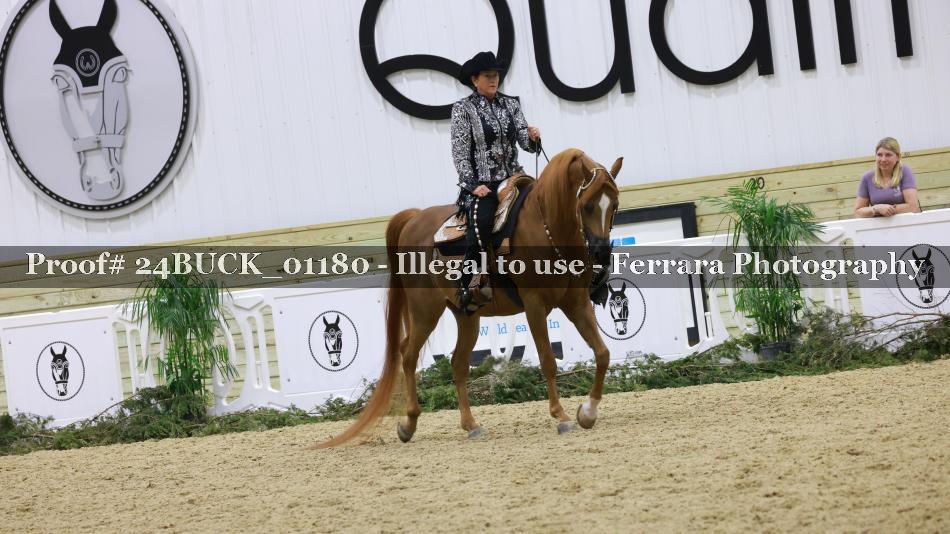 Proof 24BUCK_01180