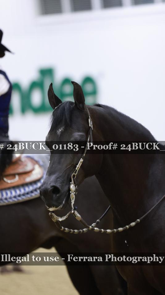 Proof 24BUCK_01183