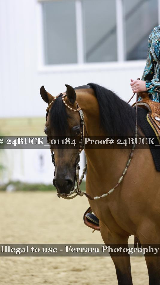 Proof 24BUCK_01184