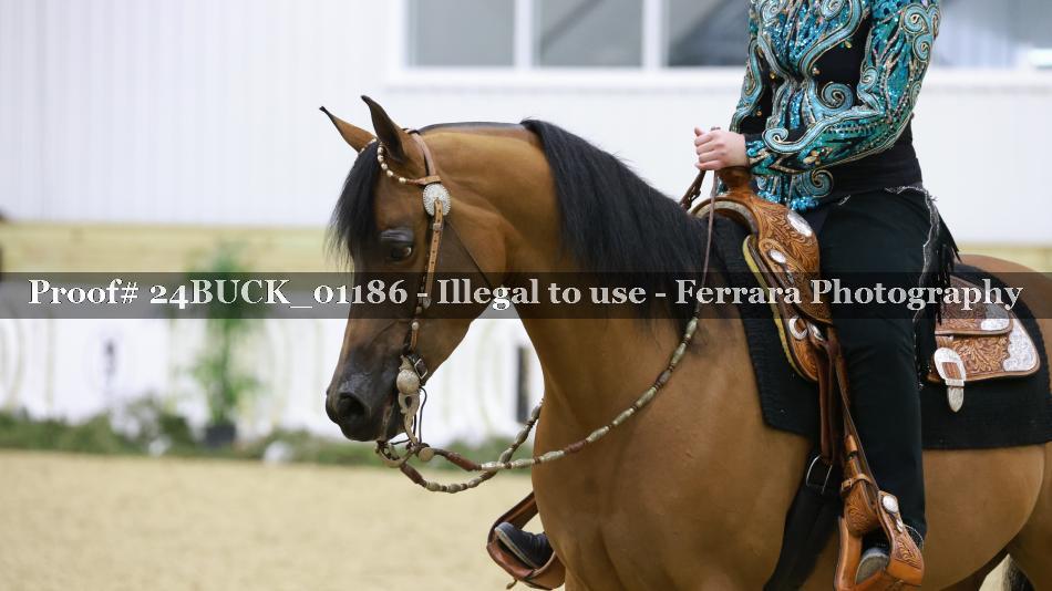 Proof 24BUCK_01186