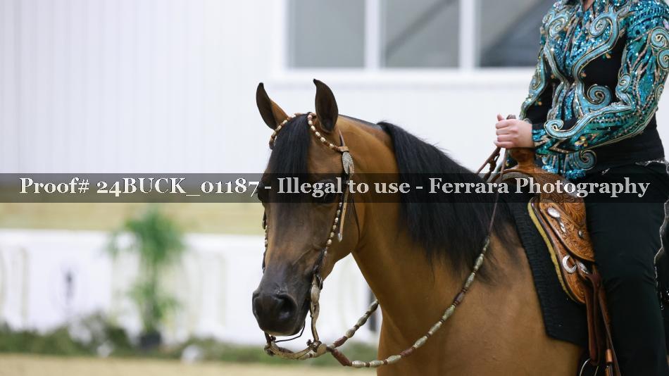 Proof 24BUCK_01187