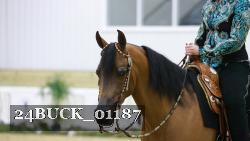 24BUCK_01187 proof