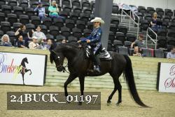 24BUCK_01197 proof