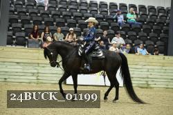 24BUCK_01199 proof