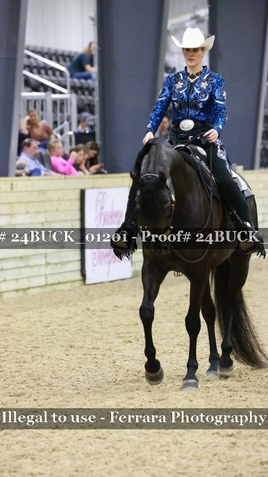 Proof 24BUCK_01201