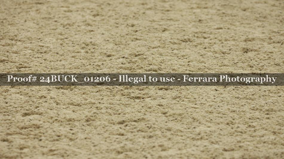 Proof 24BUCK_01206
