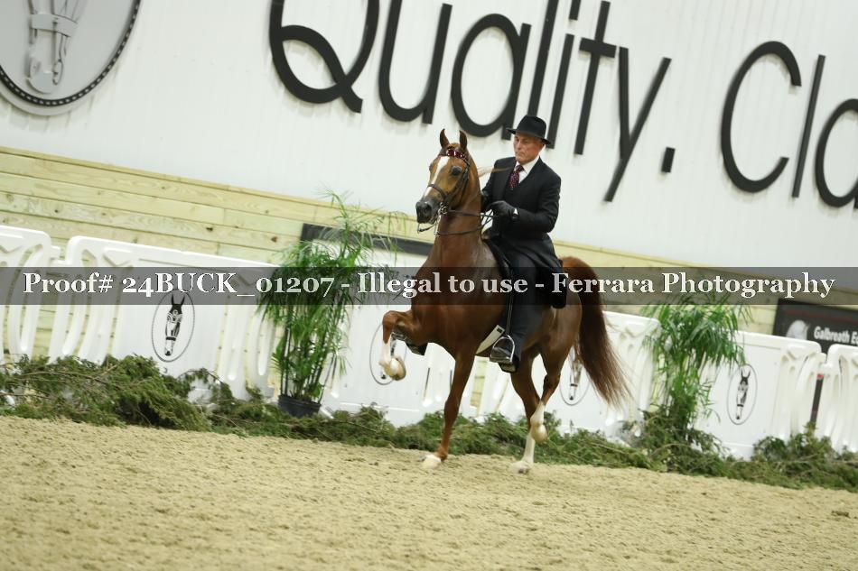 Proof 24BUCK_01207