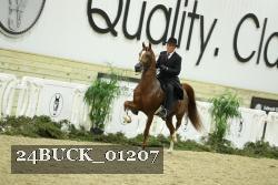 24BUCK_01207 proof