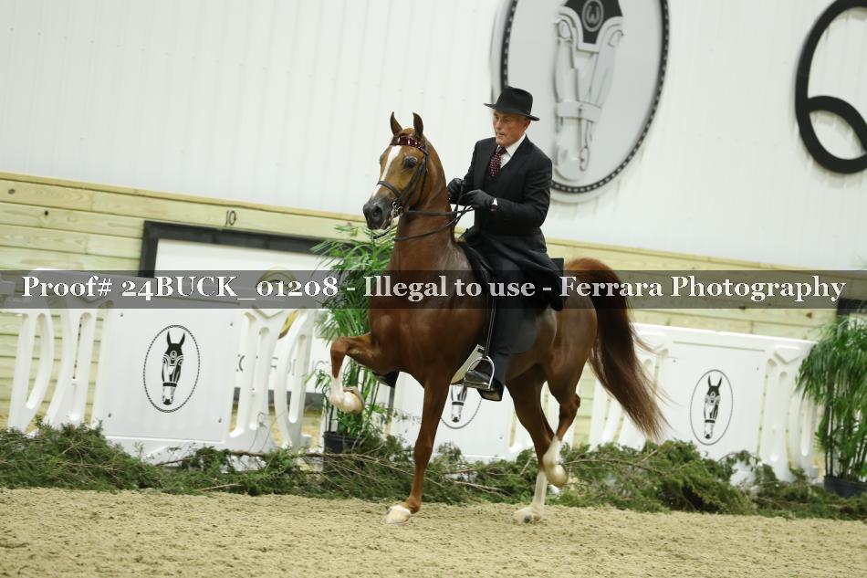 Proof 24BUCK_01208