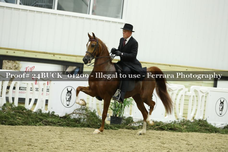 Proof 24BUCK_01209