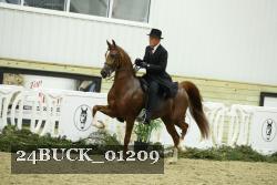 24BUCK_01209 proof