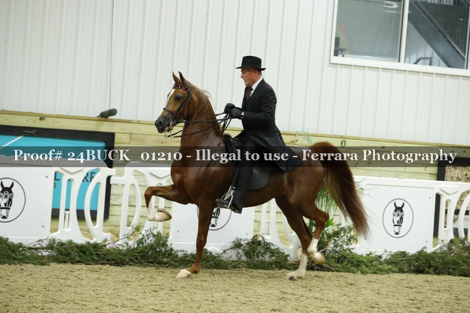 Proof 24BUCK_01210