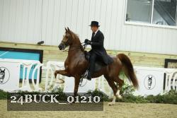 24BUCK_01210 proof