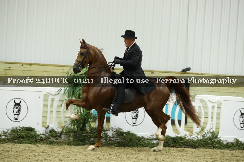 Proof 24BUCK_01211