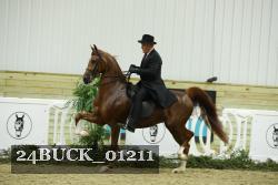 24BUCK_01211 proof