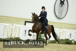 24BUCK_01213 proof
