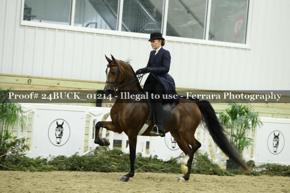 Proof 24BUCK_01214