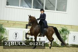 24BUCK_01214 proof