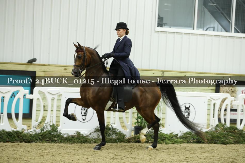 Proof 24BUCK_01215