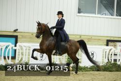 24BUCK_01215 proof