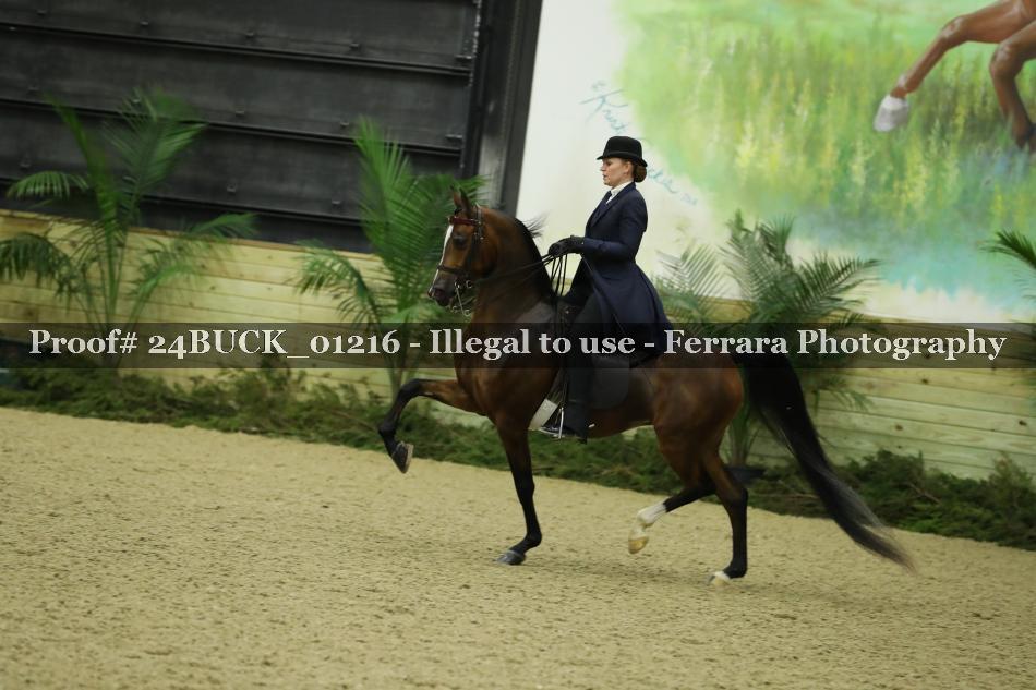 Proof 24BUCK_01216