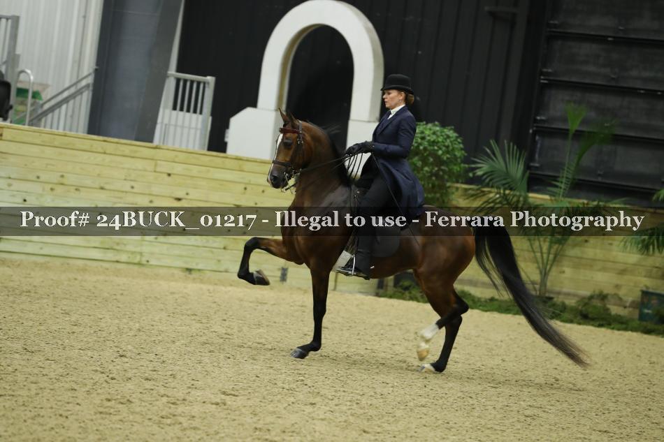 Proof 24BUCK_01217