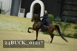 24BUCK_01217 proof