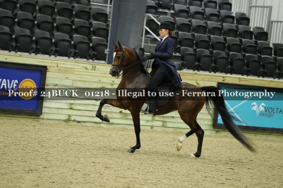 Proof 24BUCK_01218