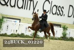 24BUCK_01220 proof