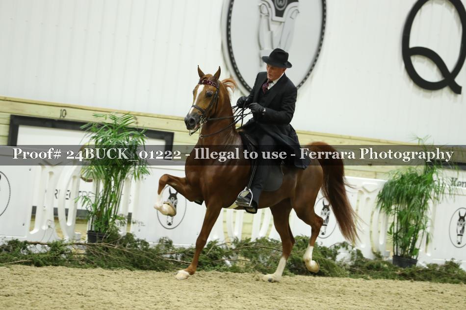 Proof 24BUCK_01222