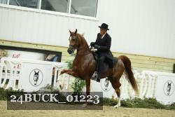 24BUCK_01223 proof