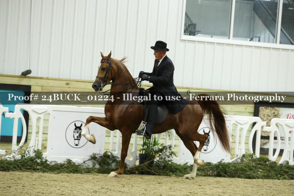 Proof 24BUCK_01224