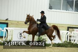 24BUCK_01224 proof