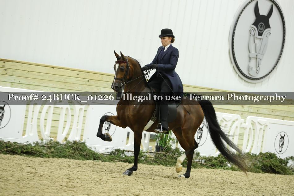 Proof 24BUCK_01226