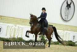 24BUCK_01226 proof