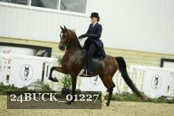 24BUCK_01227 proof