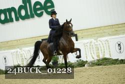 24BUCK_01228 proof